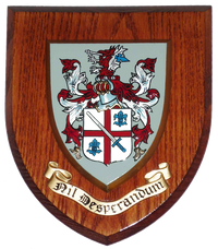 Baron&#039;s Coat of Arms Wall Plaque