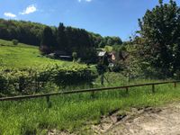 K&uuml;rten Breibach countryside